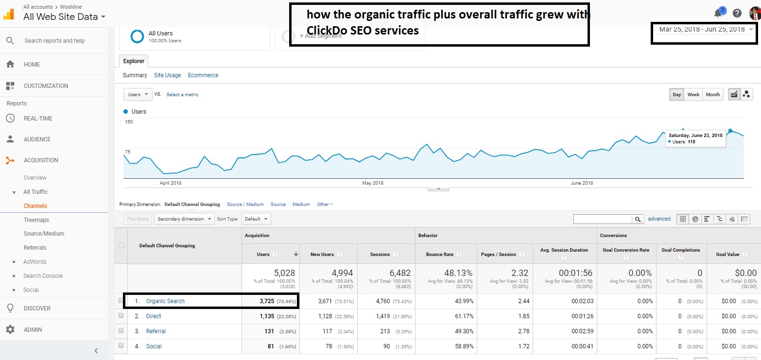 how-organic-traffic-grew-with-SEO-services